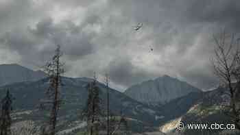 Environmental issues taking a backseat this election, Vote Compass data shows