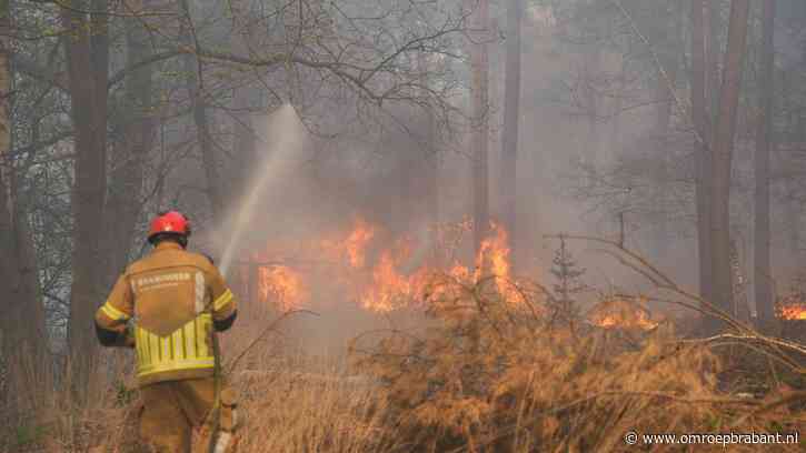 Bijna 100 brandweermensen proberen bosbrand onder controle te krijgen