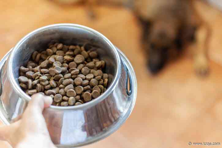 Pet food recalled after testing positive for salmonella and listeria: FDA