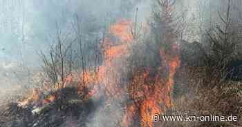 NRW: Hunderte Feuerwehrleute kämpfen gegen mehrere Waldbrände