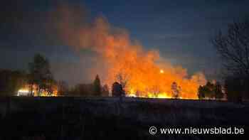 Natuurbrand op Mechelse Heide is onder controle, brandweer blust na