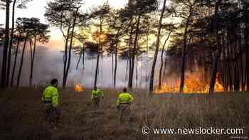 Brandweer blijft de hele nacht blussen in Drunen om te voorkomen dat vuur verspreidt