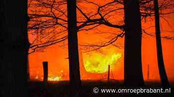 Grote bosbrand: brand niet onder controle • brandweer nog hele nacht bezig