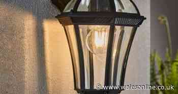 Dunelm reduces 'classy' outdoor wall light for a bargain price