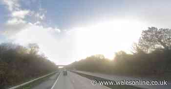 Traffic was stopped on M4 following accident