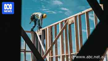 Thousands of NSW tradies may be licenced without criminal check