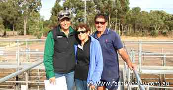 Competition results in weights and classes improve from previous store sale