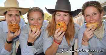 Beef pies taste test: reviewing the Hot Santa, Angus, Speckle Park and Hereford