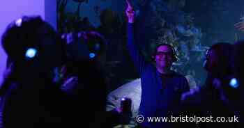 Bristol Aquarium to host silent disco rave among fish tanks and jungle vibes