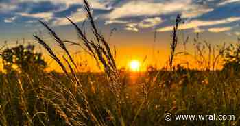 North Carolina farmers brace for impact as new tariffs threaten rising costs