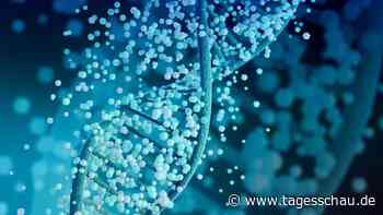 Ein Nachschlagwerk für den menschlichen Körper