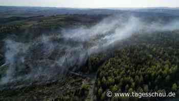 Mehrere Waldbrände in NRW inzwischen unter Kontrolle