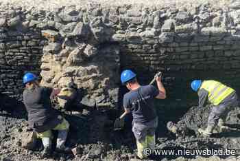 Petitie voor gevonden Iepers Gravensteen: “Deze ultieme kans mag niet verloren gaan”