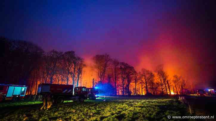 Grote bosbrand: nog geen 'brand meester', blussen gaat vandaag door