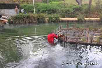 Brandweer redt eendje dat geklemd zit in kippengaas