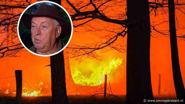 Grote schade aan natuur na bosbrand: 'Veel jong leven is omgekomen'