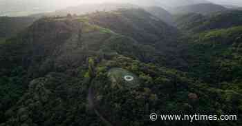 Near Bangkok, a Sprawling Forest Where Art Seems to Grow on Trees