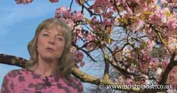 BBC Breakfast host issues apology after calling out co-star live in air