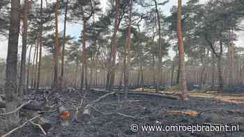 Kijk hier naar beelden van de verwoesting door de brand in de Duinen