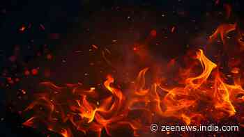 Andhra Pradesh: 8 Dead In Mishap At Firecracker Manufacturing Plant In Anakapalli