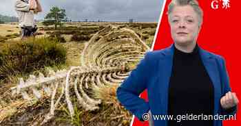 De moeflon en de wolf