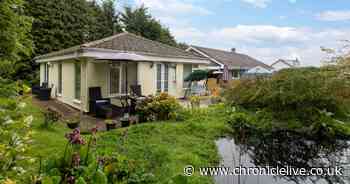 The Northumberland cottage stay with a woodland garden in 'barely-trodden' village