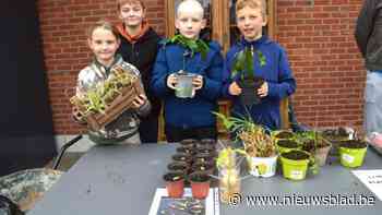 Eerste plantenruildag van Quatrezout: “Volgend jaar zeker opnieuw, dit moet alle groeikansen krijgen”