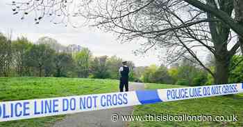 Large police cordon in Primrose Hill after girl, 16, raped