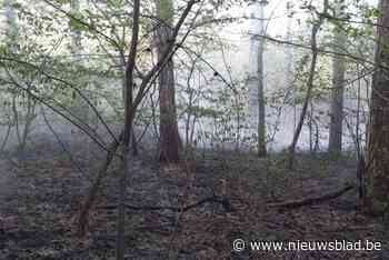 Brandweer heeft brand van vegetatie na enkele uren onder controle
