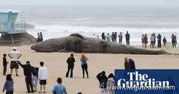 Thai new year and a porridge bath: photos of the weekend