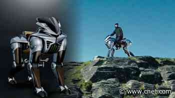 A Robot Horse for Riding Offroad video