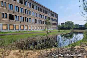 Stad wil verkoop Hartwijk snel reanimeren: “We zien binnenkort de grote jongens”