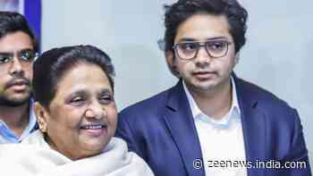 `Give Me A Chance...`: Mayawati`s Expelled Nephew Akash Anand Appeals To Her For Return To BSP