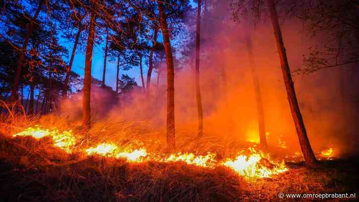 Onderzoek naar ontstaan grote brand, politie zoekt 5 jongens en man