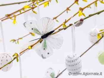 Vuoi decorare casa per Pasqua? Occhio a questi divieti: rischi fino a 100mila euro di multa