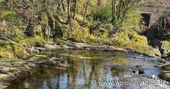 TikTokers rave about 'secret swim spot' with crystal clear waters hidden next to a Welsh A road