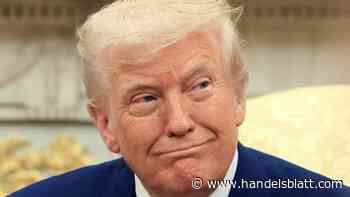 Geldanlage: „Trump führt nicht, er triggert“