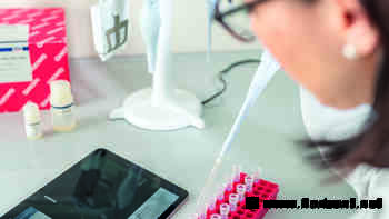 HORIZONT Brand Ticker: Diese Marken performen in Sachen Empfehlungen und Nachhaltigkeit