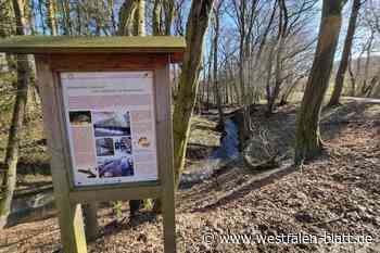 Überraschende Millionen