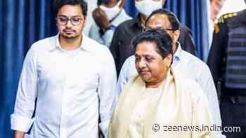 Mayawati Accepts Nephew Akash Anand`s Public Apology, Re-Inducts Him In BSP