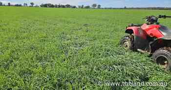 Be prepared for sowing: Maximising winter fodder crop production | Down to Earth