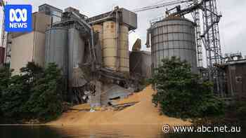 SafeWork finds dozens of safety breaches at plant where silos collapsed