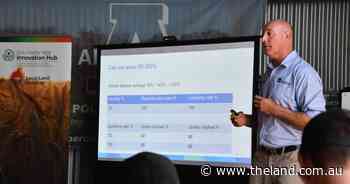 The relationship between condition score of ewes and pregnancy rates explained