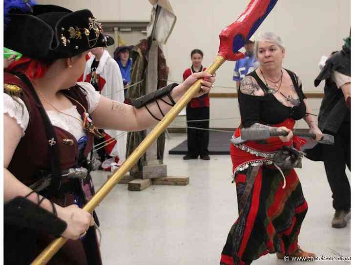 Sarnia Pop Culture Show draws a crowd