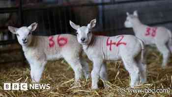 'Nonsense' to base farming funding on population