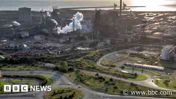 Double standards to protect steel - politicians