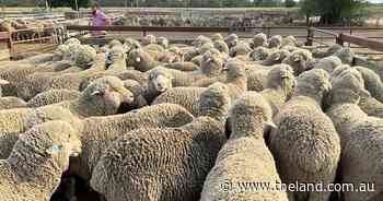 Australian farm property deal worth $780m collapses amid market volatility