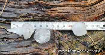 Storms bring heavy 24-hour rains to southern coast, hail in some parts