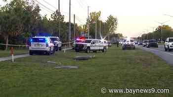 3-year-old Pinellas boy drowns in lake, sheriff's office says