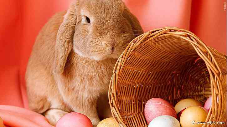 Easter festivities kick off with egg hunts across capital area